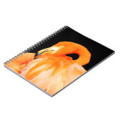 Carnet Flamant rose au soleil d'été (Côté gauche)