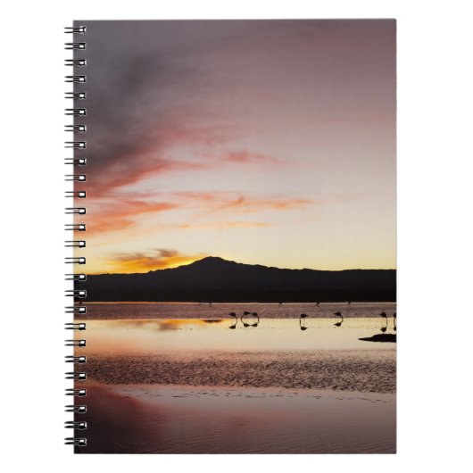 Carnet Flamant rose chilien (Devant)