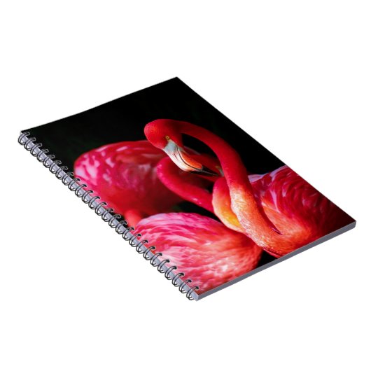Carnet Flamant rose moderne Tropical Rose (Côté Droit)