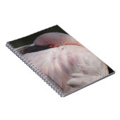 Carnet Flamant rose rose (Côté Droit)