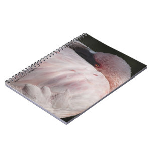 Carnet Flamant rose rose