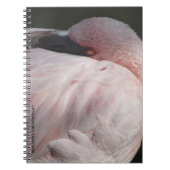 Carnet Flamant rose rose (Devant)