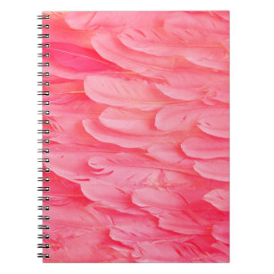 Carnet Flamant rose rose Feathersflamingo, plume, rose, t