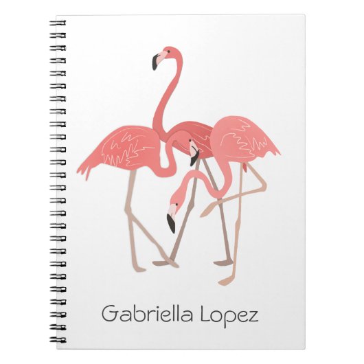 Carnet Flamant rose trio personnalisé (Devant)