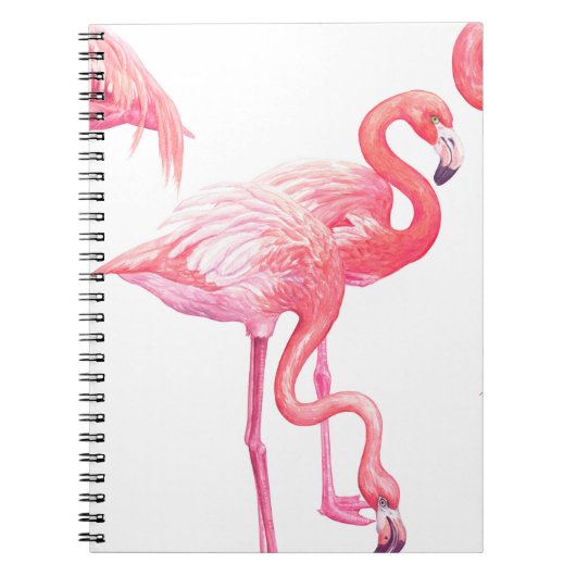 Carnet Flamants roses (Devant)