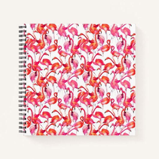 Carnet Flamants roses Aquarelle En Aquarelles (Devant)