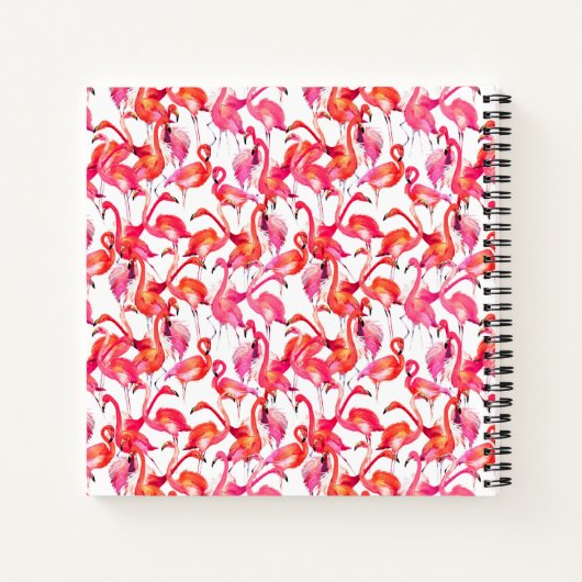 Carnet Flamants roses Aquarelle En Aquarelles (Dos)