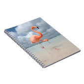 Carnet Flamants roses Beach Aruba (Côté Droit)