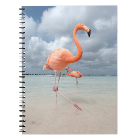 Carnet Flamants roses Beach Aruba (Devant)
