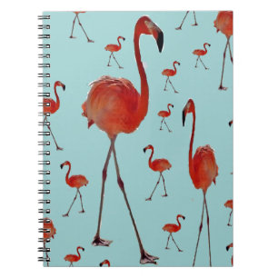 Carnet Flamants roses de marche