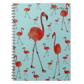 Carnet Flamants roses de marche (Devant)