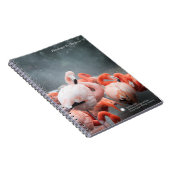 Carnet Flamants roses de Smithsonien | dans la neige (Côté Droit)