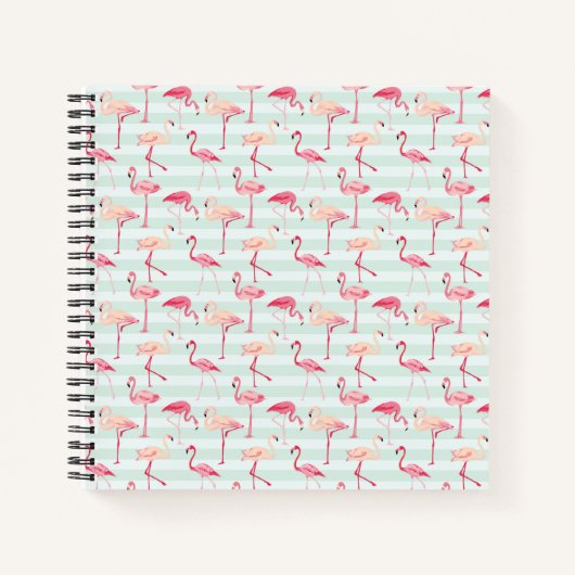 Carnet Flamants roses Rétro Sur Bandes De Monnaie (Devant)
