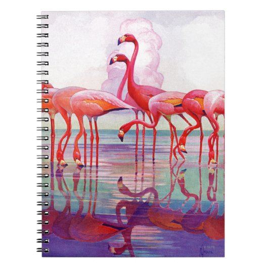 Carnet Flamants roses roses par Francis Lee Jacques (Devant)