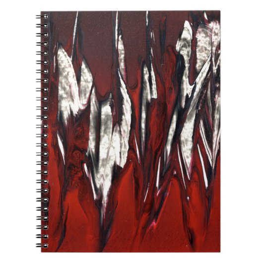 Carnet Flames rouges en rage (Devant)