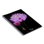 Carnet Fleur Astrantia rose sur Floral noir (Côté Droit)