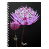 Carnet Fleur Astrantia rose sur Floral noir (Devant)