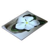 Carnet Fleur blanche (Côté gauche)
