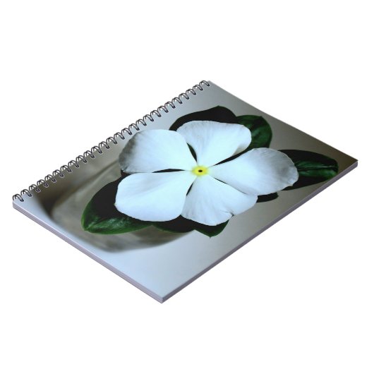 Carnet Fleur blanche (Côté gauche)