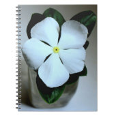 Carnet Fleur blanche (Devant)