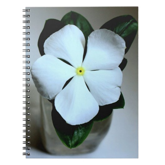 Carnet Fleur blanche (Devant)