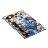 Carnet Fleur blanche fond de ciel bleu (Côté Droit)