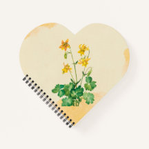 Fleur Columbine citron