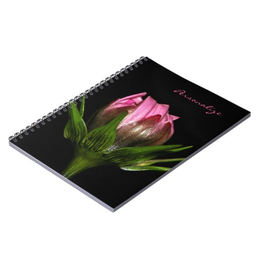 Carnet Fleur Cosmos Rose Avec Nom (Côté gauche)