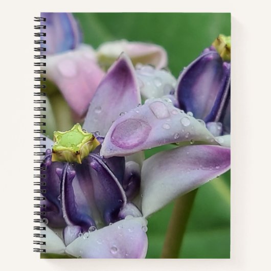 Carnet Fleur Couronne Violette (Devant)