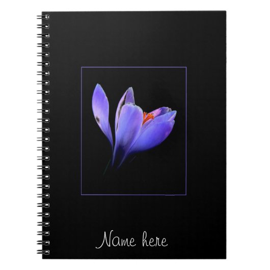 Carnet Fleur CROCUS pourpre (Devant)