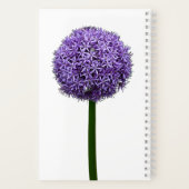 Carnet Fleur d'Allium pourpre sur fond blanc (Verso)