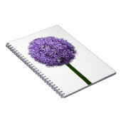 Carnet Fleur d'Allium pourpre sur fond blanc (Côté Droit)
