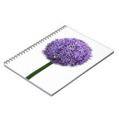 Carnet Fleur d'Allium pourpre sur fond blanc (Côté gauche)