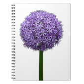 Carnet Fleur d'Allium pourpre sur fond blanc (Devant)