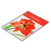 Carnet Fleur d'Amaryllis rouge (Côté gauche)