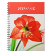 Carnet Fleur d'Amaryllis rouge (Devant)