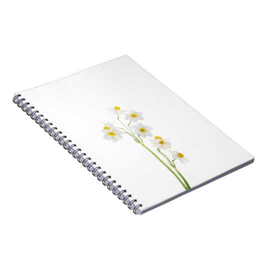 Carnet fleur d'aquarelle de narcisse blanche (Côté Droit)