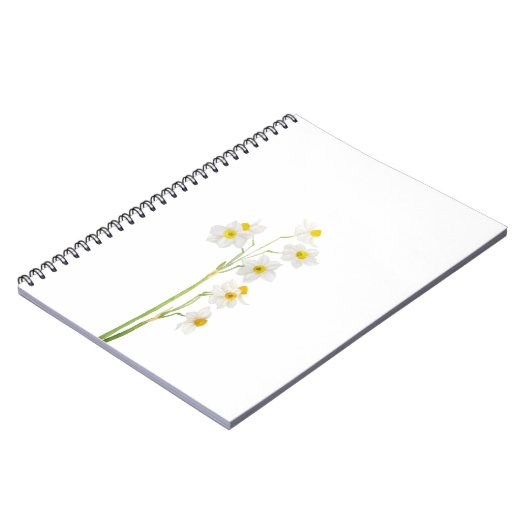 Carnet fleur d'aquarelle de narcisse blanche (Côté gauche)