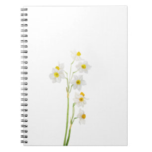 Carnet fleur d'aquarelle de narcisse blanche