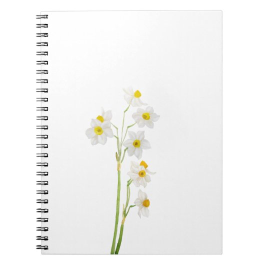 Carnet fleur d'aquarelle de narcisse blanche (Devant)