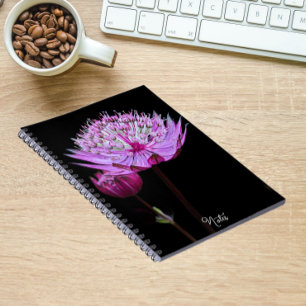Carnet Fleur d'Astrantia rose sur fond floral noir