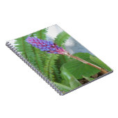 Carnet Fleur de Bromélie à cône bleu (Côté Droit)