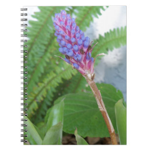 Carnet Fleur de Bromélie à cône bleu