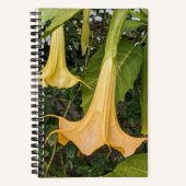 Carnet Fleur de Brugmansia jaune florale (Recto)