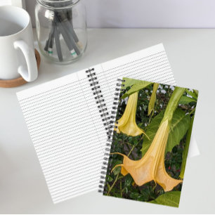 Carnet Fleur de Brugmansia jaune florale