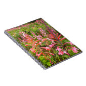 Carnet Fleur de Bugle Lily (Watsonia), Cap-Oriental (Côté Droit)