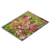 Carnet Fleur de Bugle Lily (Watsonia), Cap-Oriental (Côté gauche)