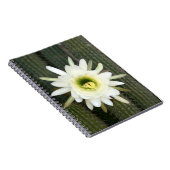 Carnet Fleur De Cactus De Nuit, Région De Karoo (Côté Droit)