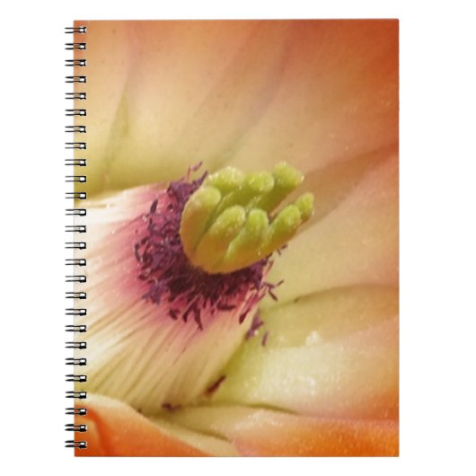 Carnet Fleur de cactus orange (Devant)