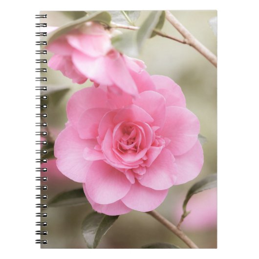 Carnet Fleur de Camellia Rose tendre (Devant)
